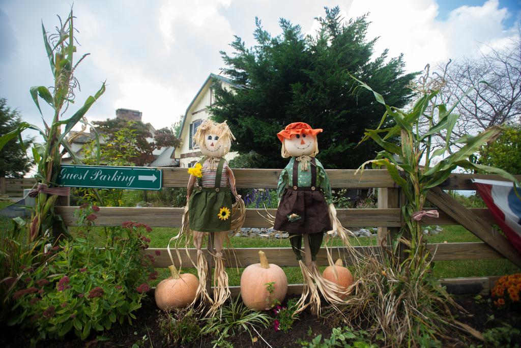 Antietam Overlook Farm Rohrersville Dış mekan fotoğraf